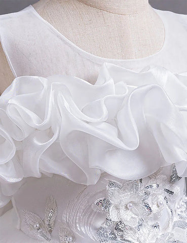 Flower Embroidered Long Princess Dress