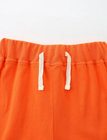 Animal Print Short-sleeved T-shirt and Shorts Set