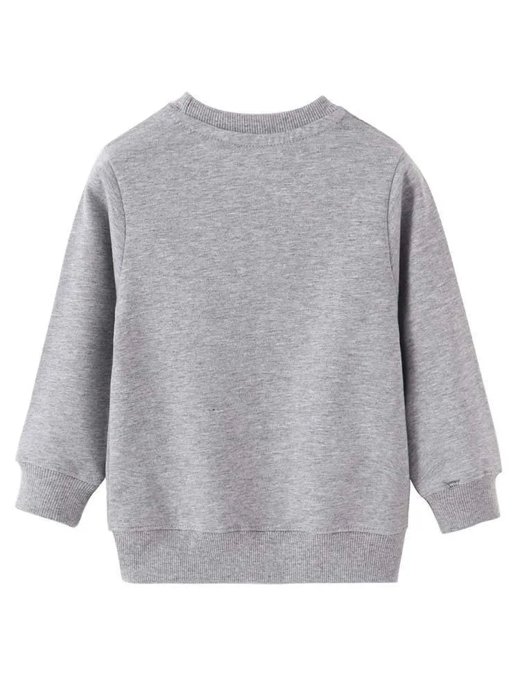 Dinosaur Printed Sweater - Mini Taylor