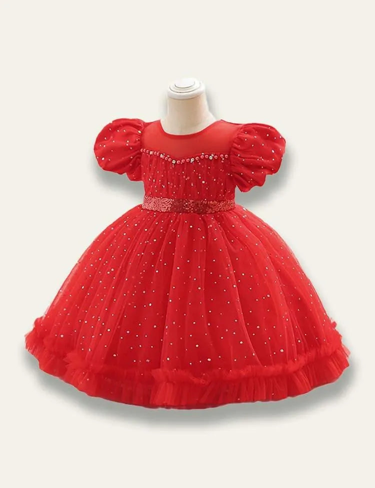 Floral Princess Tulle Party Dress - Mini Taylor