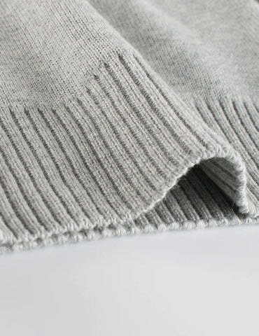 Shy Dinosaur Pattern Sweater - Mini Taylor
