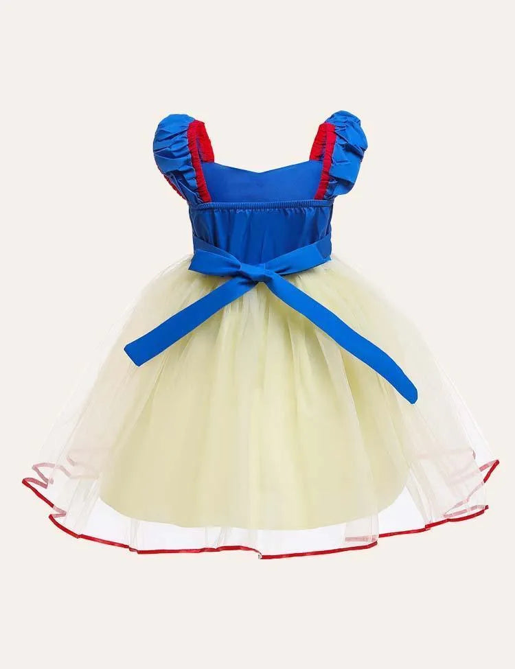 Snow White Mesh Party Dress - Mini Taylor